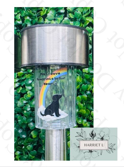 Lights - Pets (multiple designs)